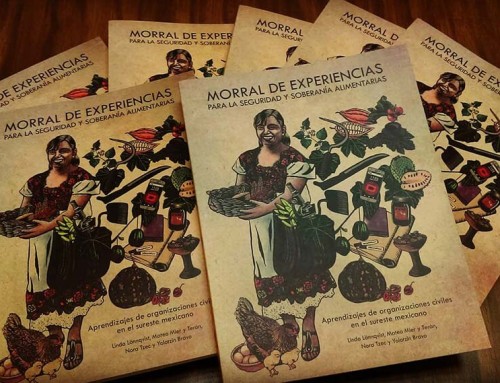 New Publication About Food Security and Sovereignty–Free download