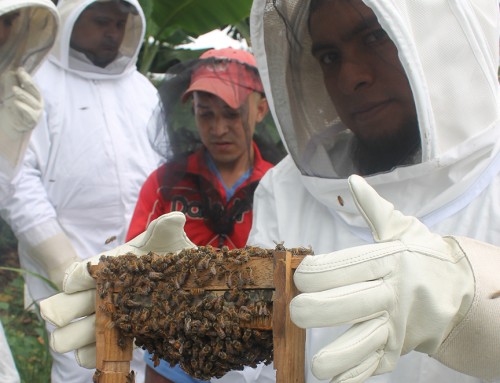 The Coffee Diversification Project News Round Up