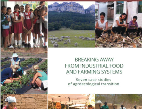 Breaking Away From Industrial Food and Farming Systems