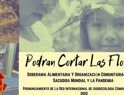 September 2020 Newsletter