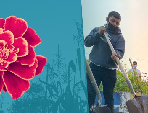 Amplify CAN’s Impact in 2022 and Beyond