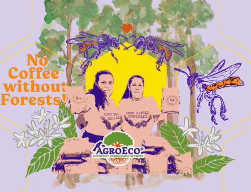 AgroEco Nurtures the Swarm of Life