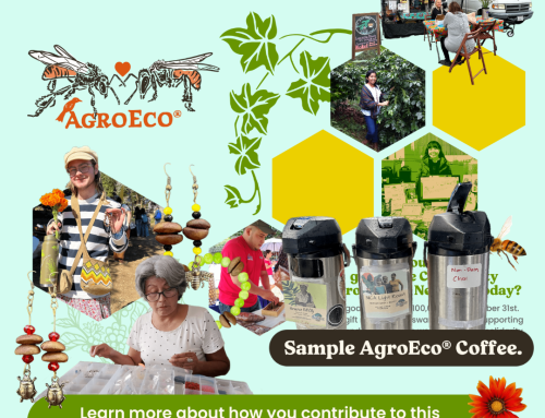 Taste the Swarm of Life: AgroEco Coffee Invitation