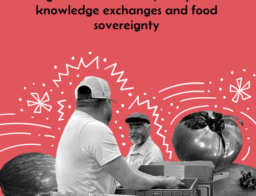 News From the Land 2025 – With Native Seeds, We Recover Milpa Food Sovereignty” Community Seed and Grains with Tierras Milperas