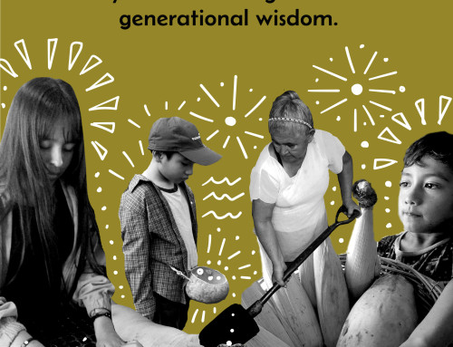 News From the Land 2025 – RIAC-Youth Nurture Agroecologies for the Care of Rural Economies and their Seeds (NACERS)